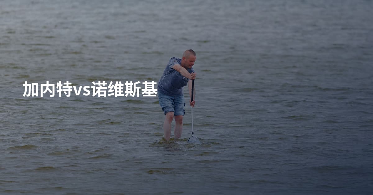 加内特vs诺维斯基