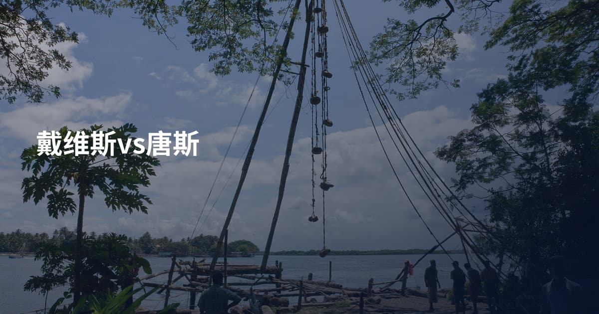 戴维斯vs唐斯