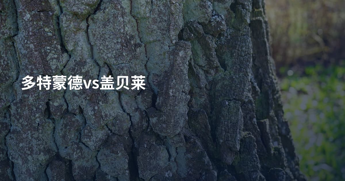 多特蒙德vs盖贝莱