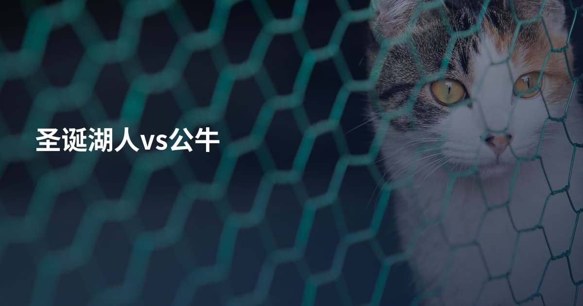 圣诞湖人vs公牛