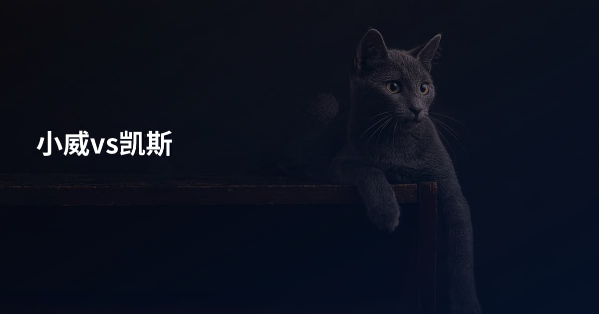 小威vs凯斯