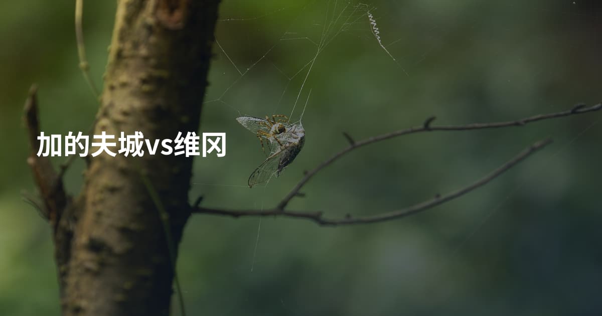 加的夫城vs维冈