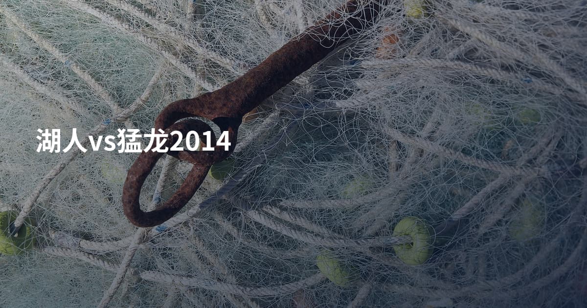 湖人vs猛龙2014