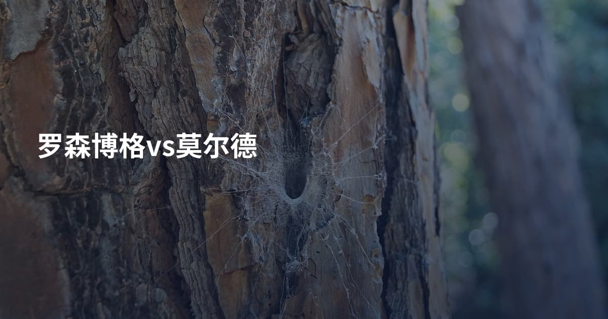 罗森博格vs莫尔德
