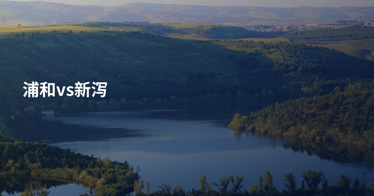浦和vs新泻