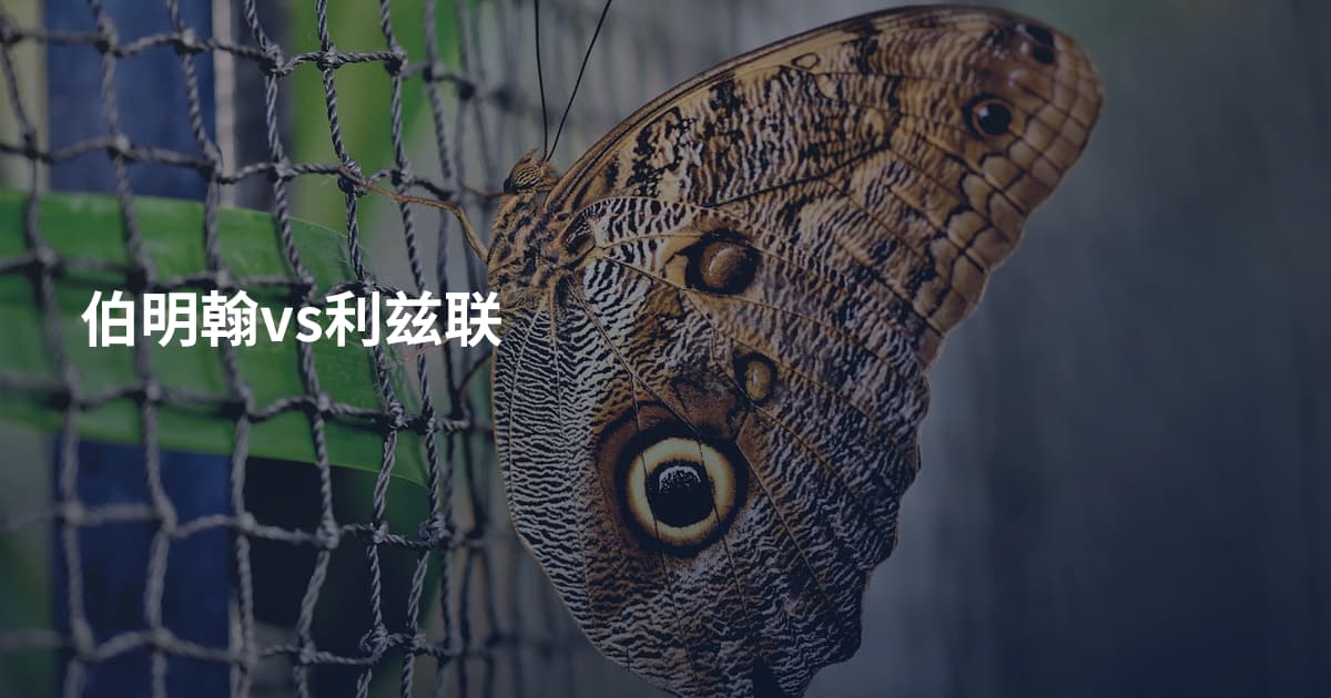 伯明翰vs利兹联