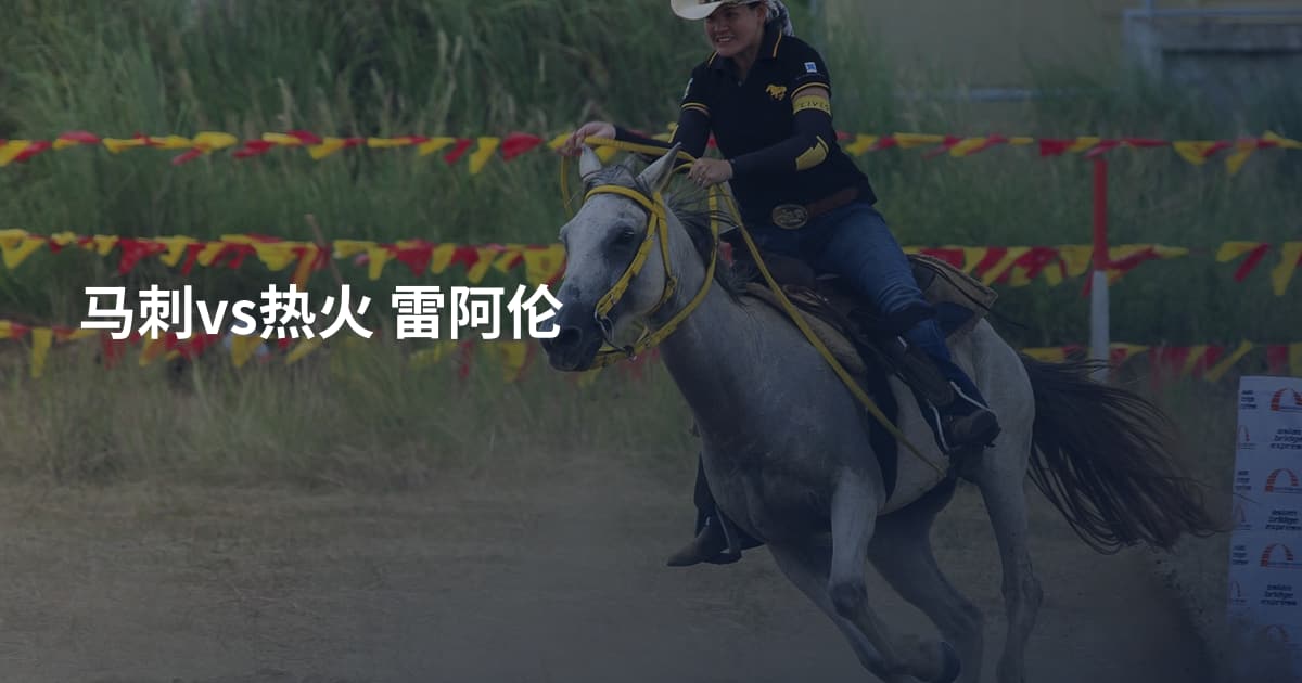 马刺vs热火 雷阿伦