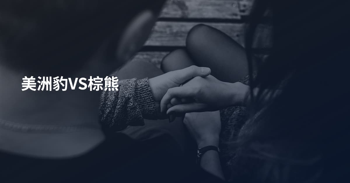 美洲豹VS棕熊