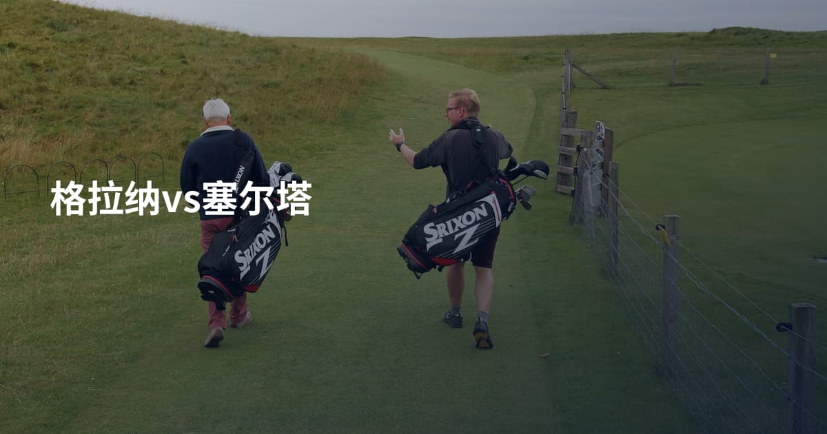格拉纳vs塞尔塔