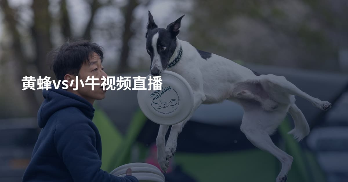 黄蜂vs小牛视频直播