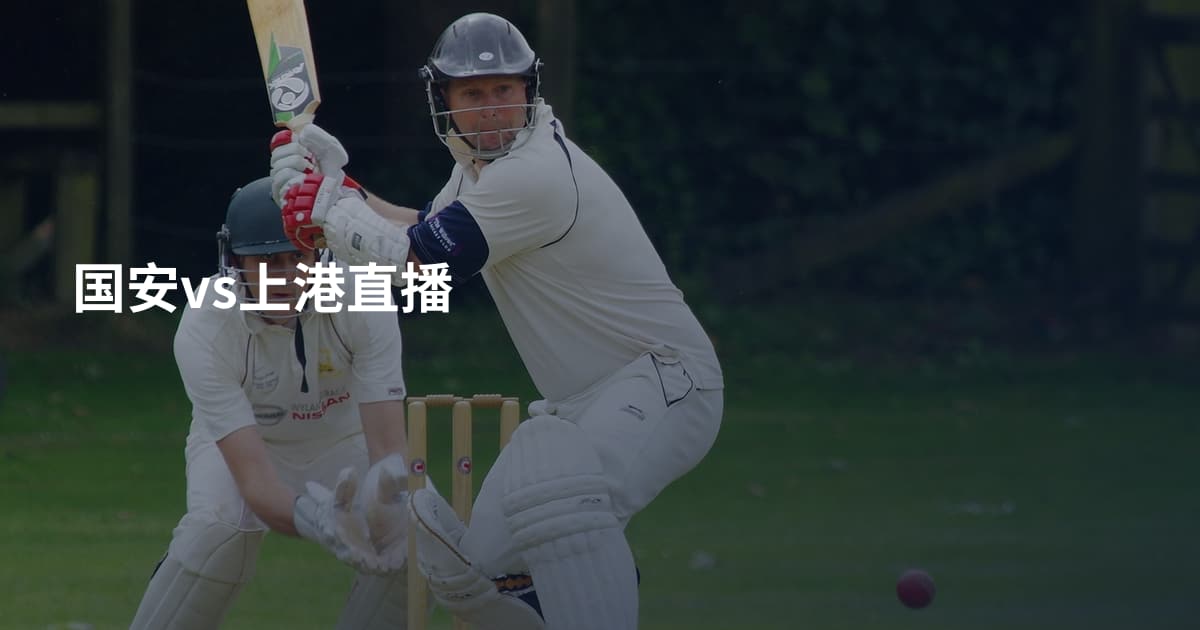 国安vs上港直播