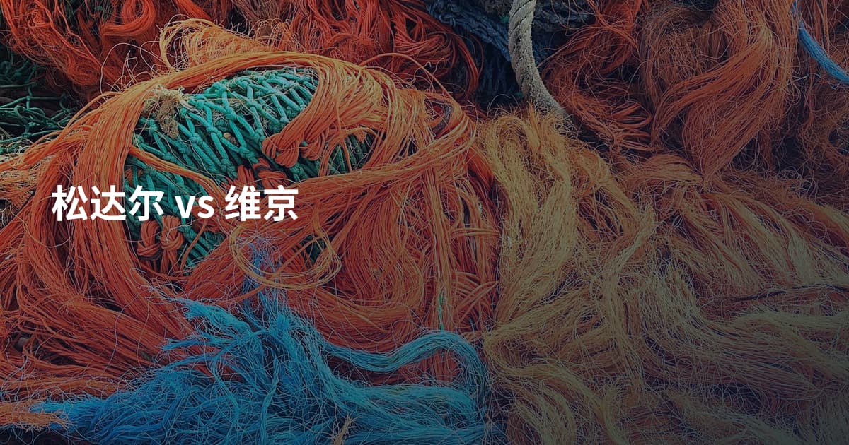 松达尔 vs 维京