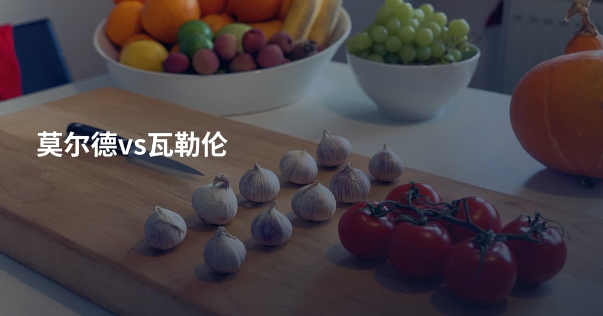 莫尔德vs瓦勒伦
