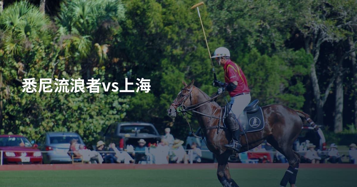 悉尼流浪者vs上海