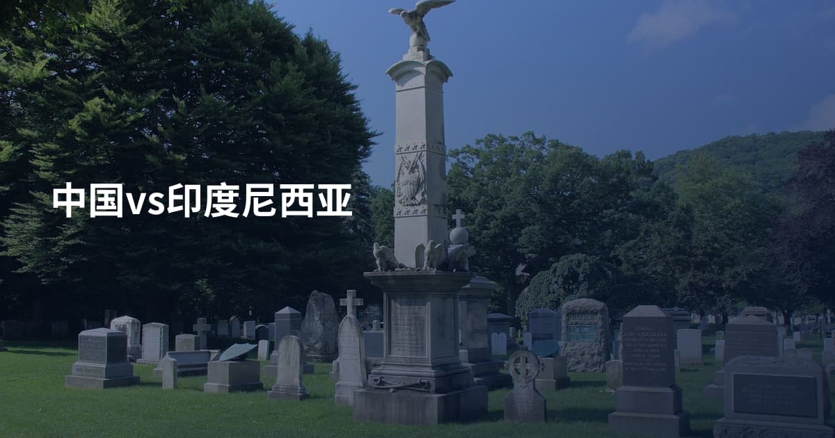 中国vs印度尼西亚