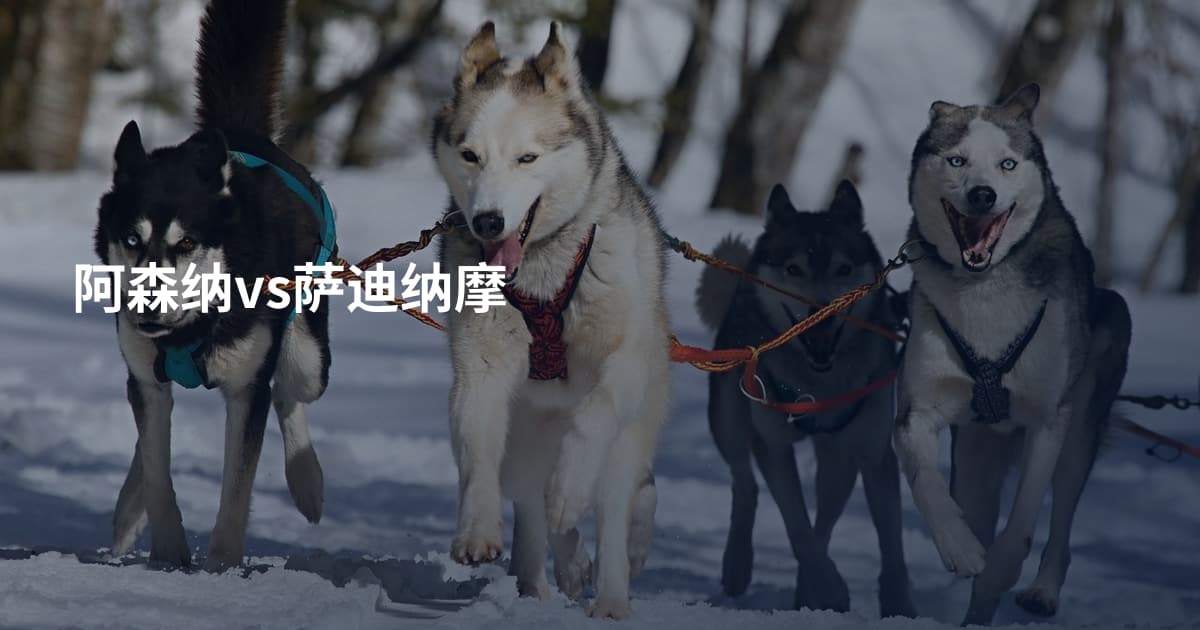 阿森纳vs萨迪纳摩