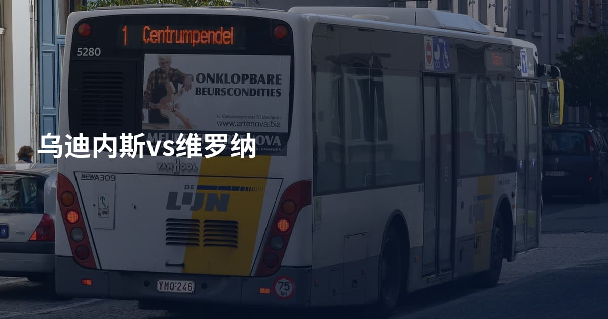 乌迪内斯vs维罗纳