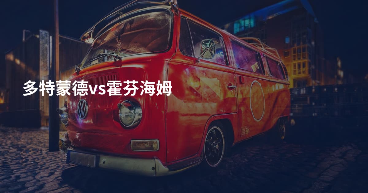 多特蒙德vs霍芬海姆