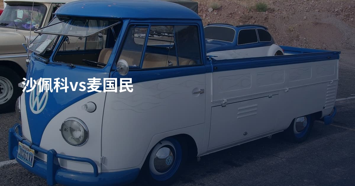 沙佩科vs麦国民