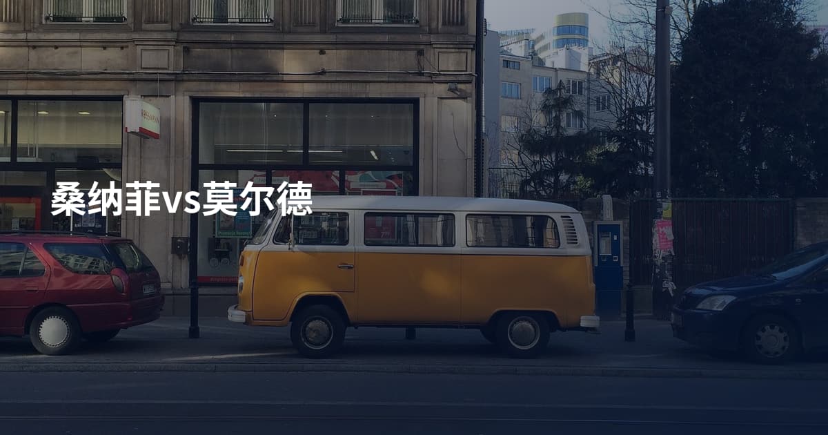 桑纳菲vs莫尔德