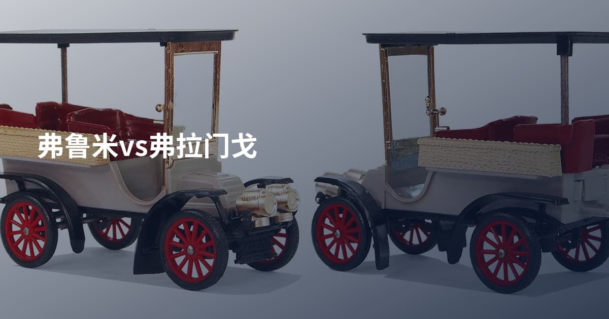 弗鲁米vs弗拉门戈
