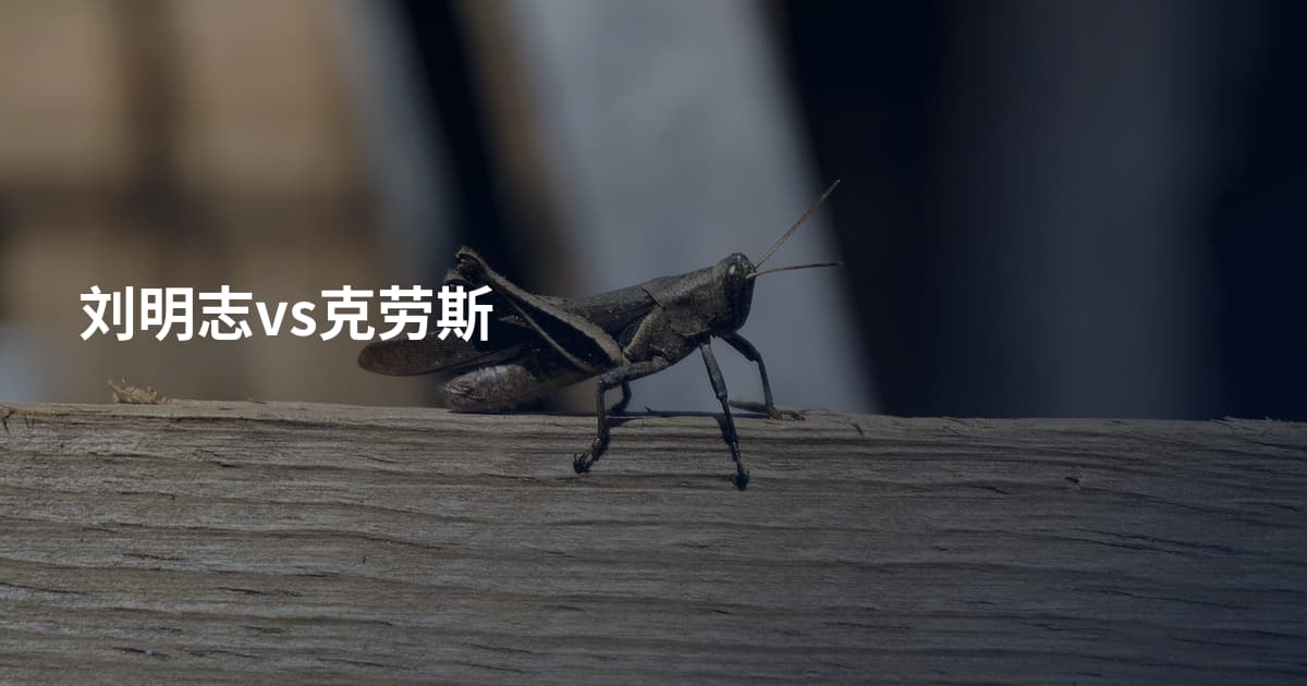 刘明志vs克劳斯