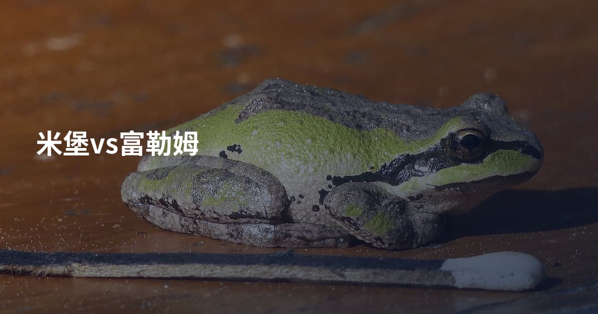 米堡vs富勒姆