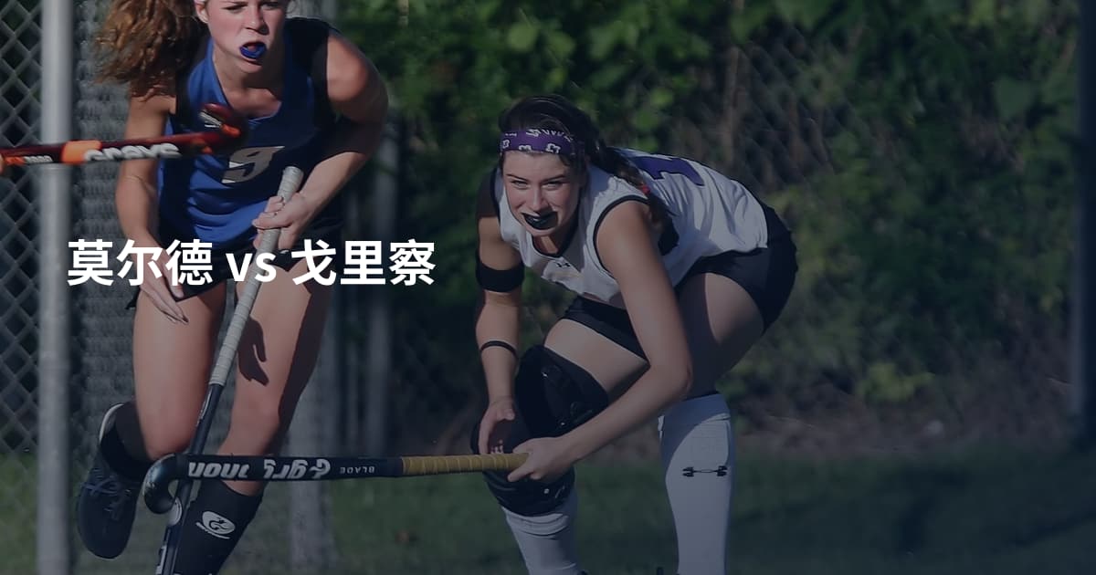 莫尔德 vs 戈里察