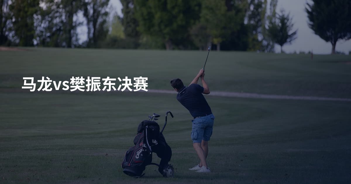 马龙vs樊振东决赛