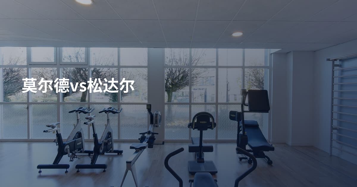 莫尔德vs松达尔