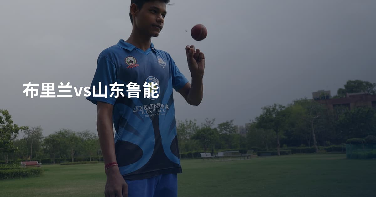 布里兰vs山东鲁能