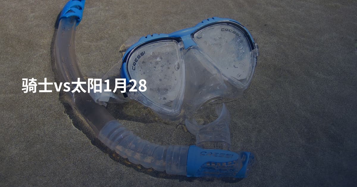 骑士vs太阳1月28