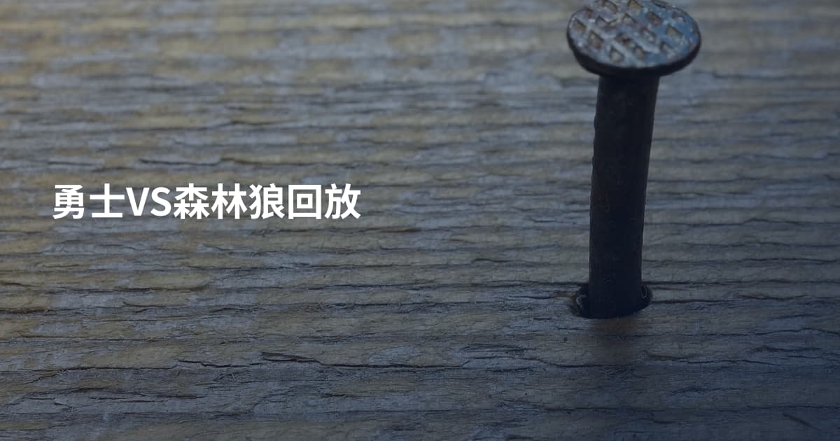 勇士VS森林狼回放