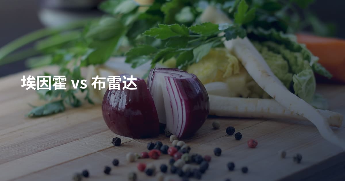 埃因霍 vs 布雷达