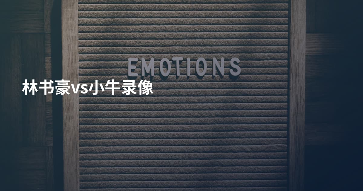 林书豪vs小牛录像