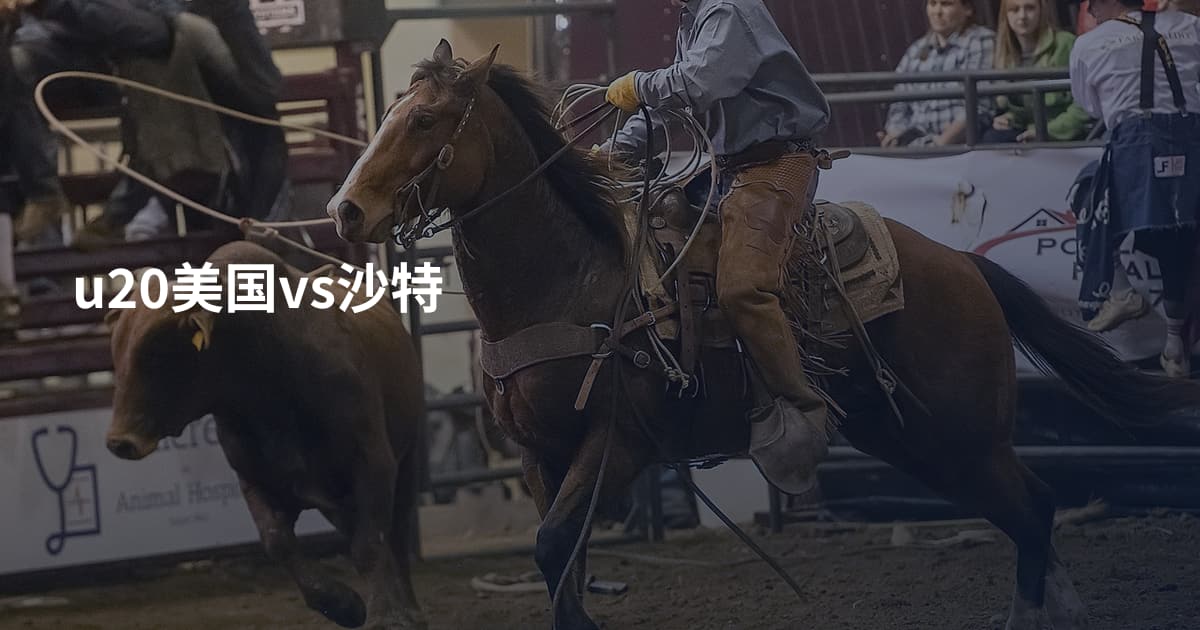 u20美国vs沙特