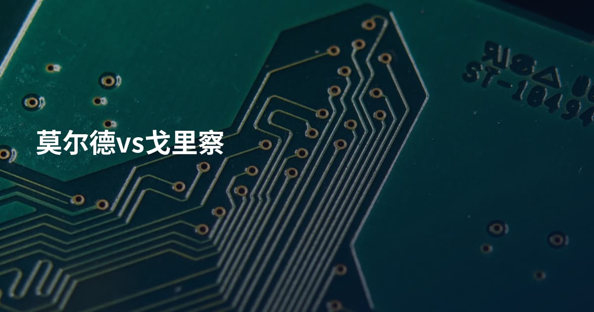莫尔德vs戈里察