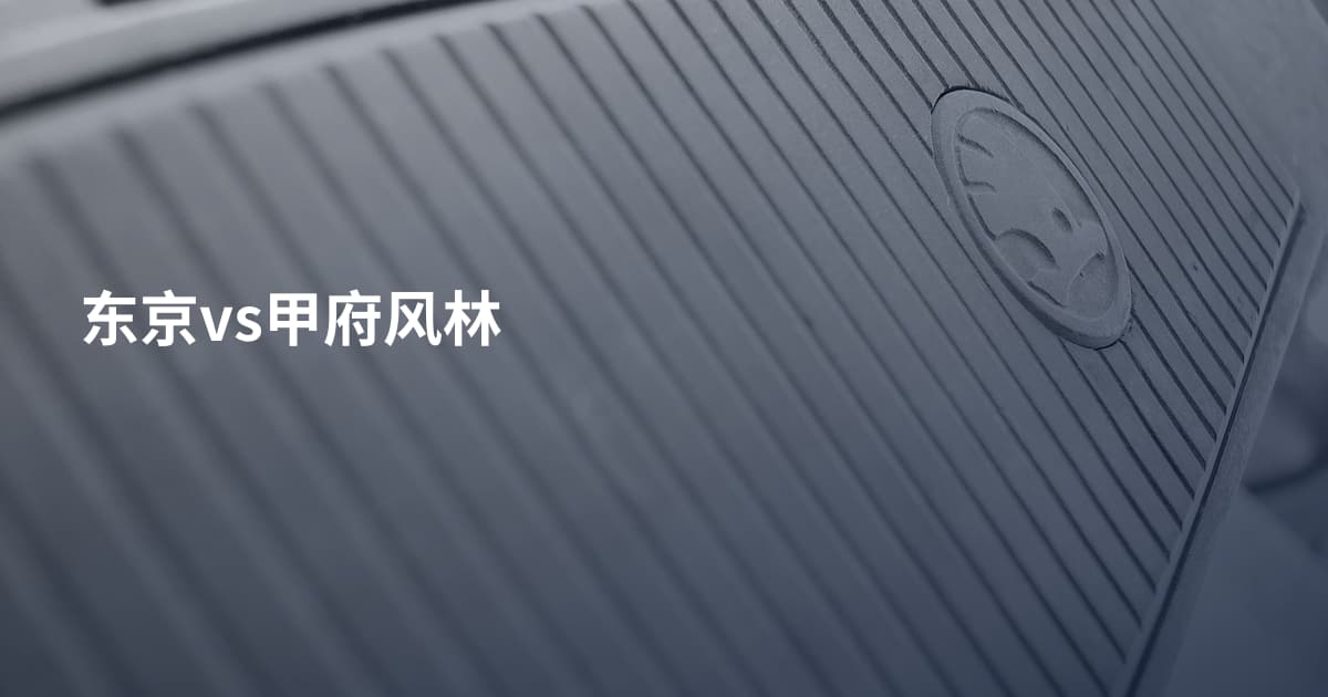 东京vs甲府风林