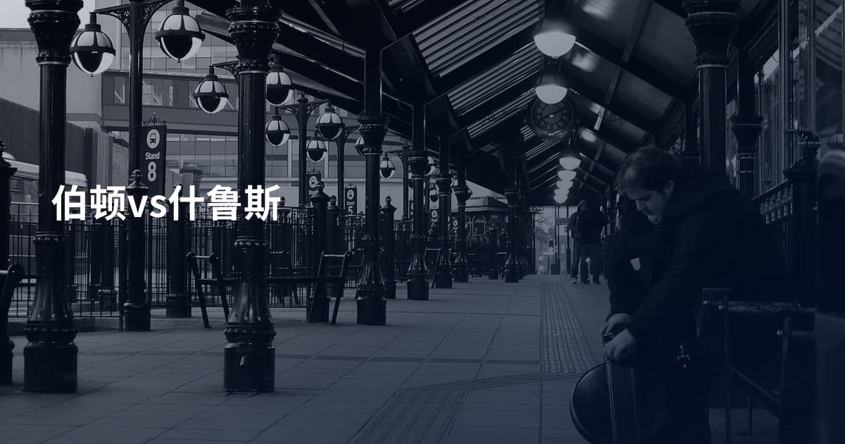伯顿vs什鲁斯