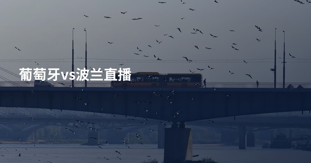 葡萄牙vs波兰直播