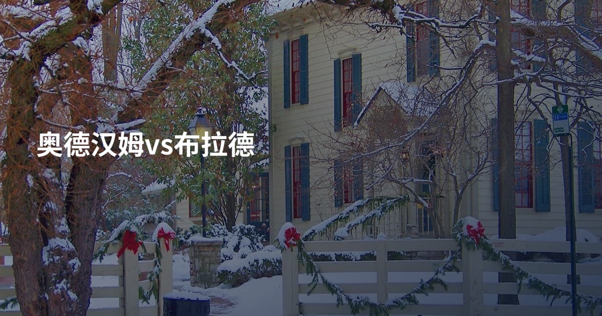 奥德汉姆vs布拉德