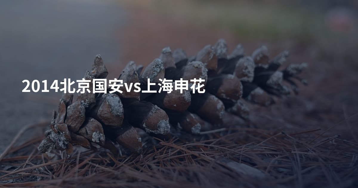 2014北京国安vs上海申花