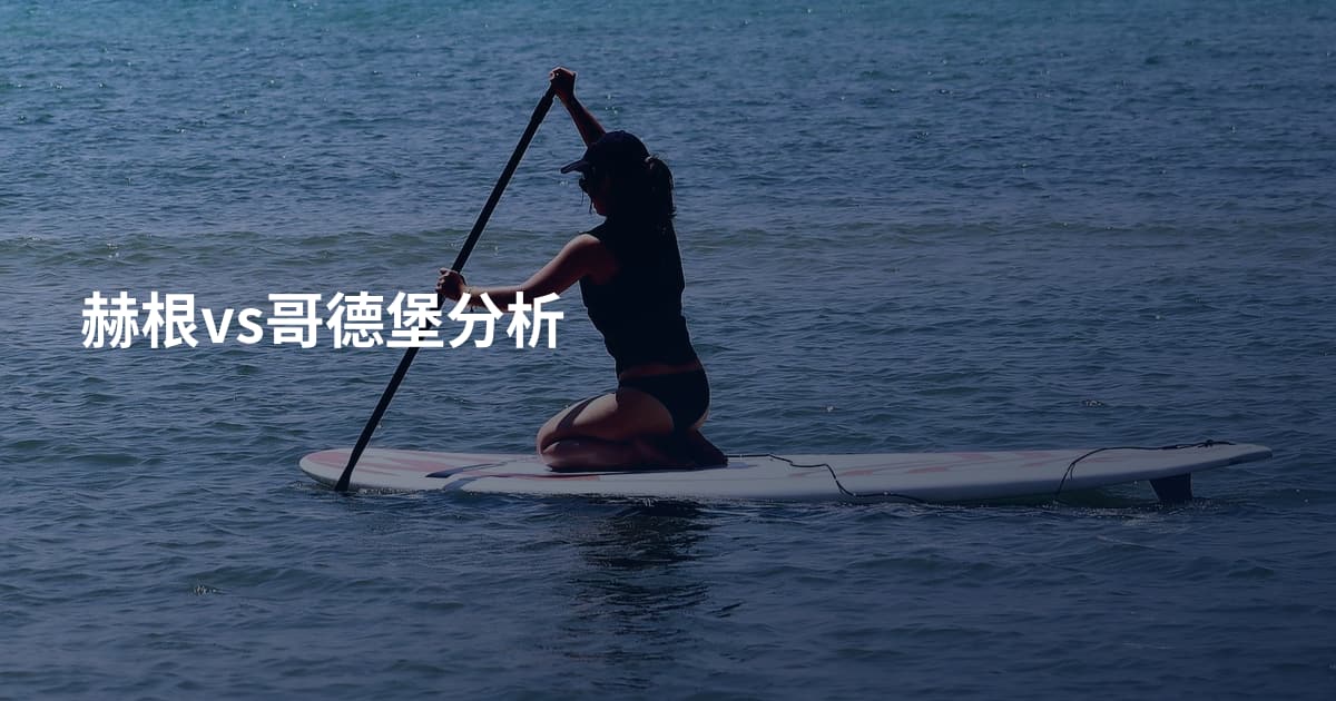 赫根vs哥德堡分析
