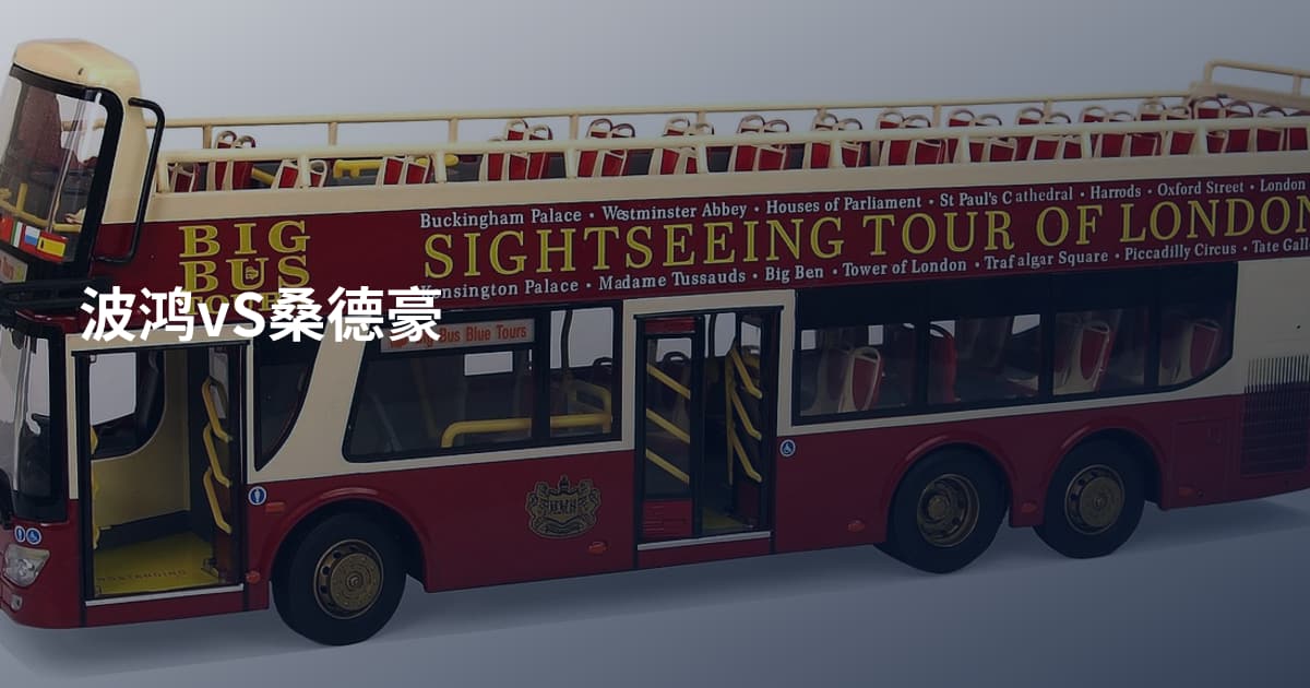 波鸿vS桑德豪