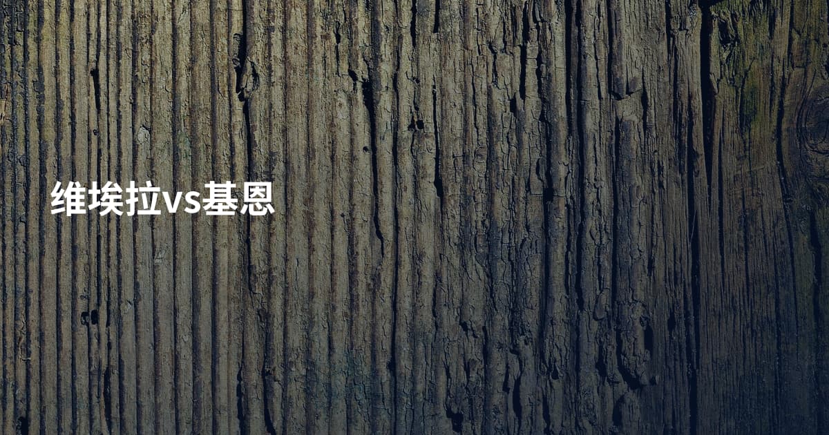 维埃拉vs基恩