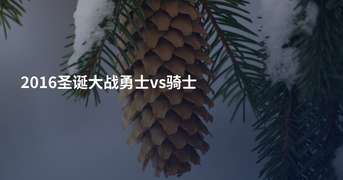 2016圣诞大战勇士vs骑士