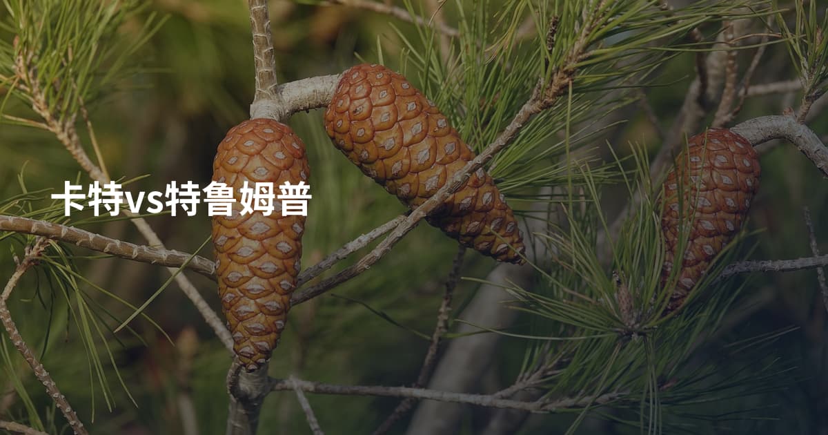 卡特vs特鲁姆普