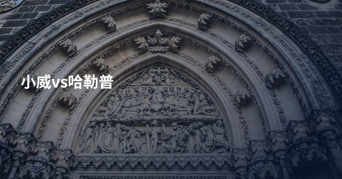 小威vs哈勒普