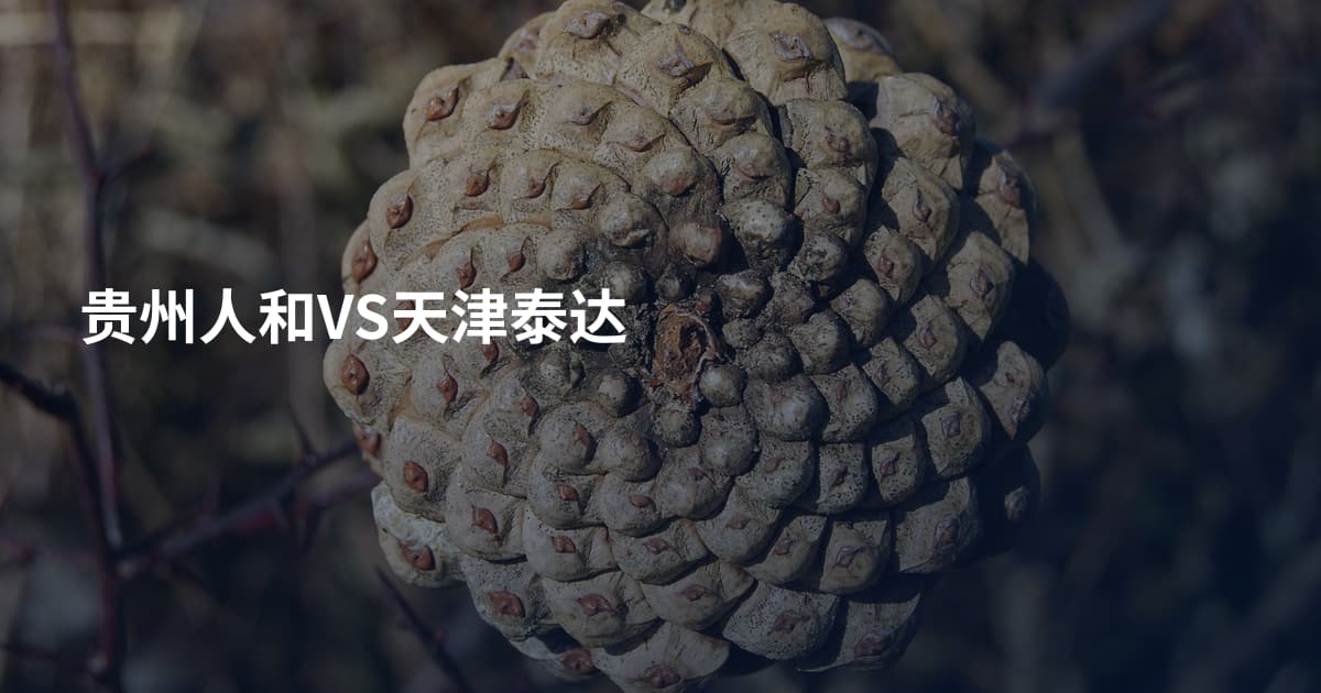 贵州人和VS天津泰达