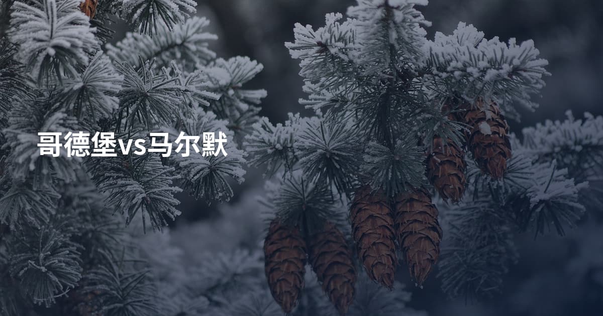 哥德堡vs马尔默